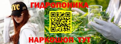ПСИЛОЦИБИНОВЫЕ ГРИБЫ Партизанск