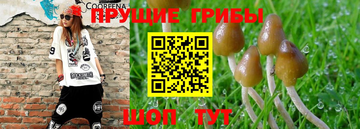 Псилоцибиновые грибы MAGIC MUSHROOMS  Псилоцибиновые грибы Magic Shrooms  Вход с VPN  Полевской 