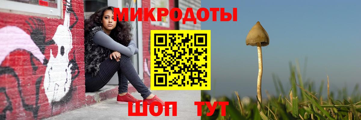 Галлюциногенные грибы Magic Shrooms Полевской